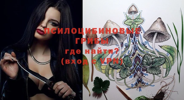 ПСИЛОЦИБИНОВЫЕ ГРИБЫ Осташков