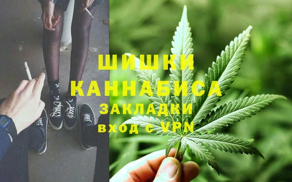 соль ск Пестово