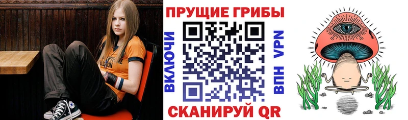 Псилоцибиновые грибы прущие грибы  цена   Иннополис 