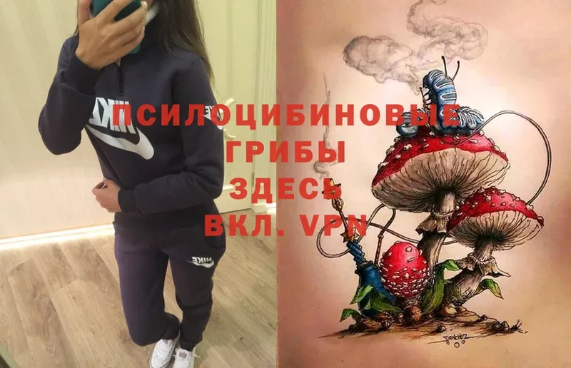 Галлюциногенные грибы Psilocybe  Иннополис 